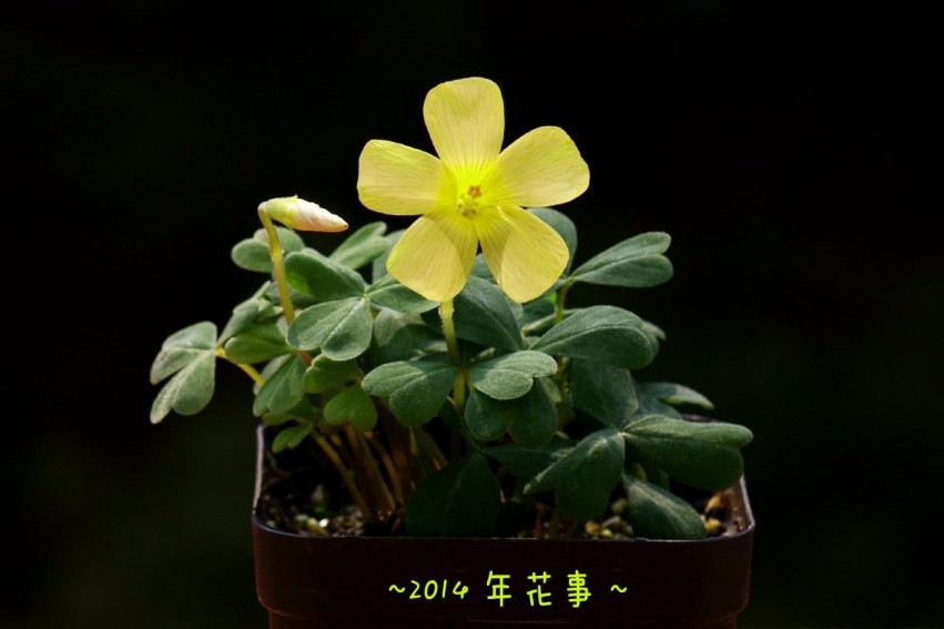 02.jpg