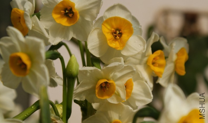 QQͼƬ20140201233337.jpg