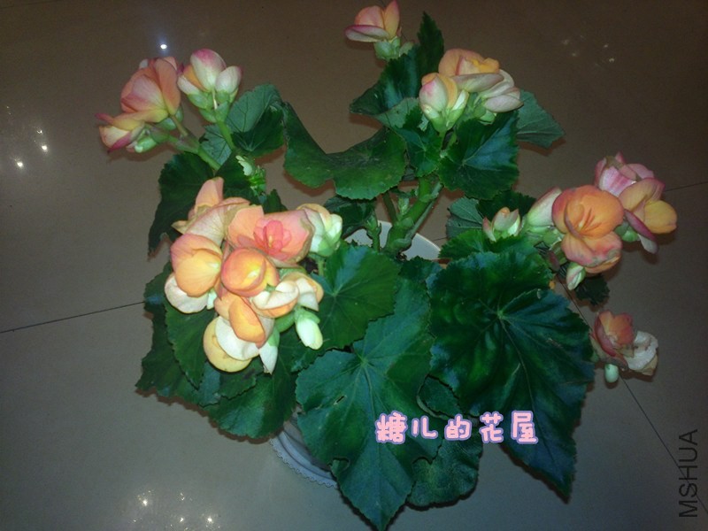 2014-02-02-296_����.jpg