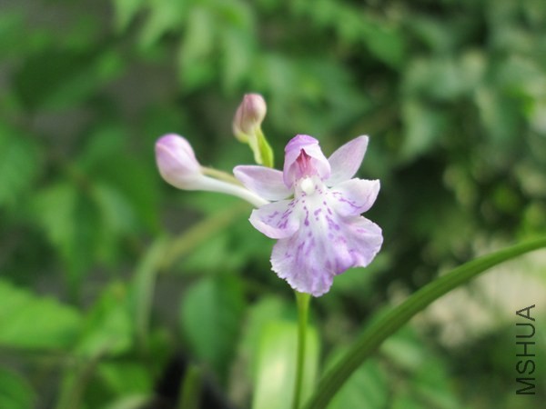 IMG_9022.JPG