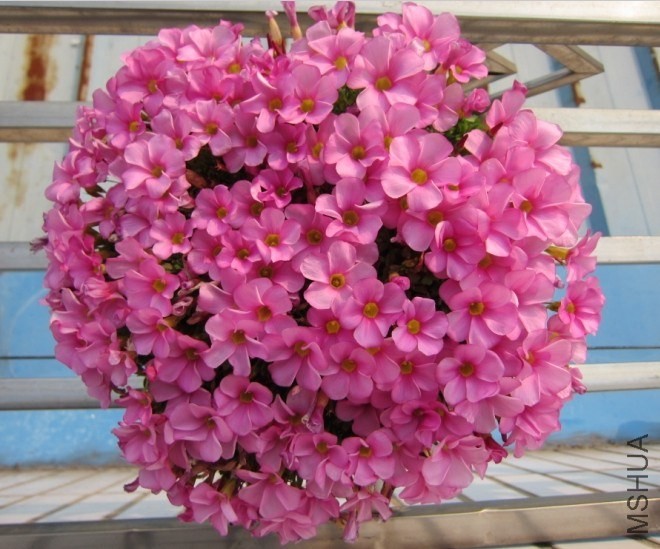 QQͼƬ20140202171045.jpg