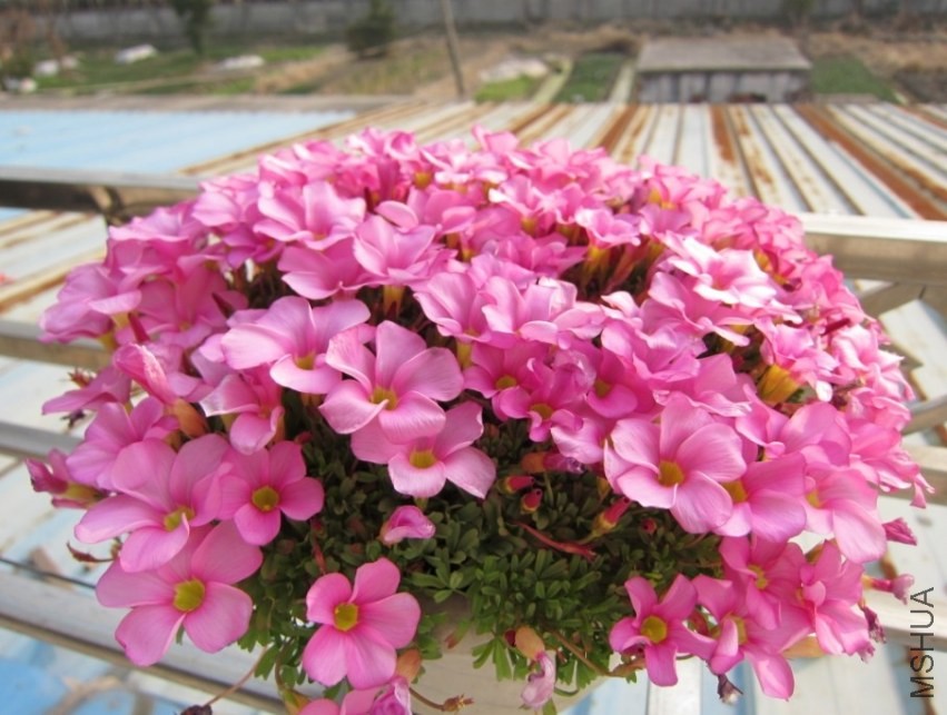 QQͼƬ20140202171258.jpg