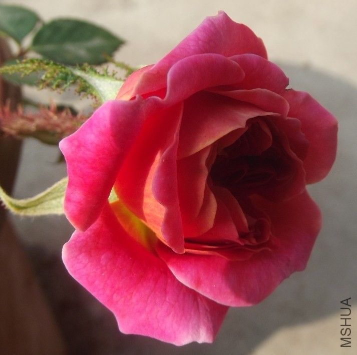 QQͼƬ20140202232300.jpg