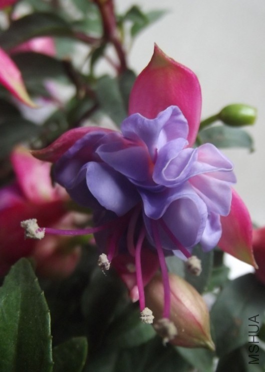 QQͼƬ20140202232336.jpg