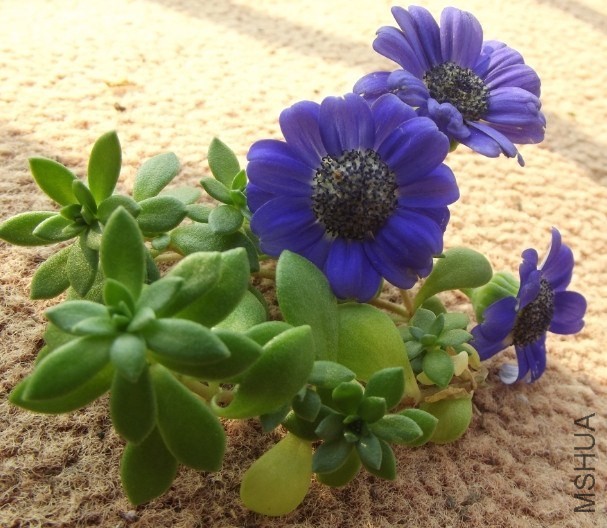 QQͼƬ20140202232430.jpg