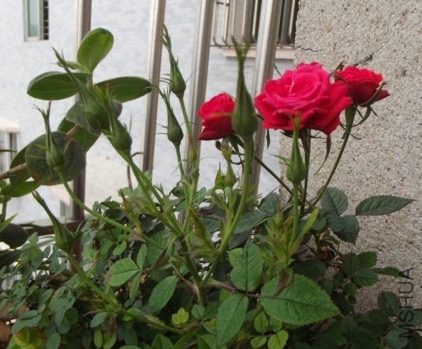 QQͼƬ20140202232649.jpg