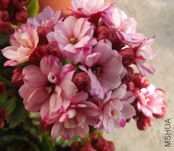 QQͼƬ20140202232714.jpg