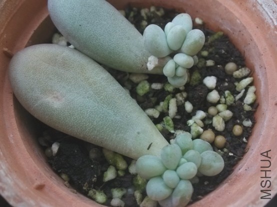 QQͼƬ20140202233011.jpg