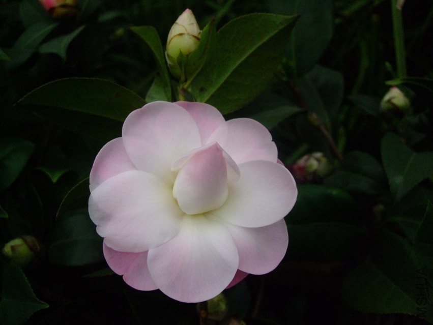 Ʈ�� 2014-2-3 004.jpg