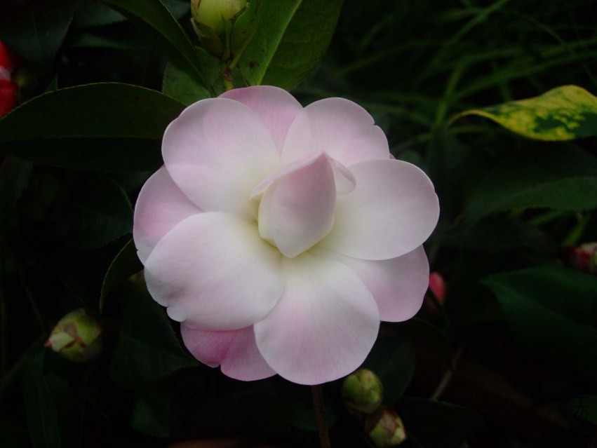 Ʈ�� 2014-2-3 087.jpg