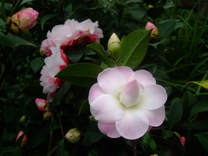 Ʈ�� 2014-2-3 088.jpg