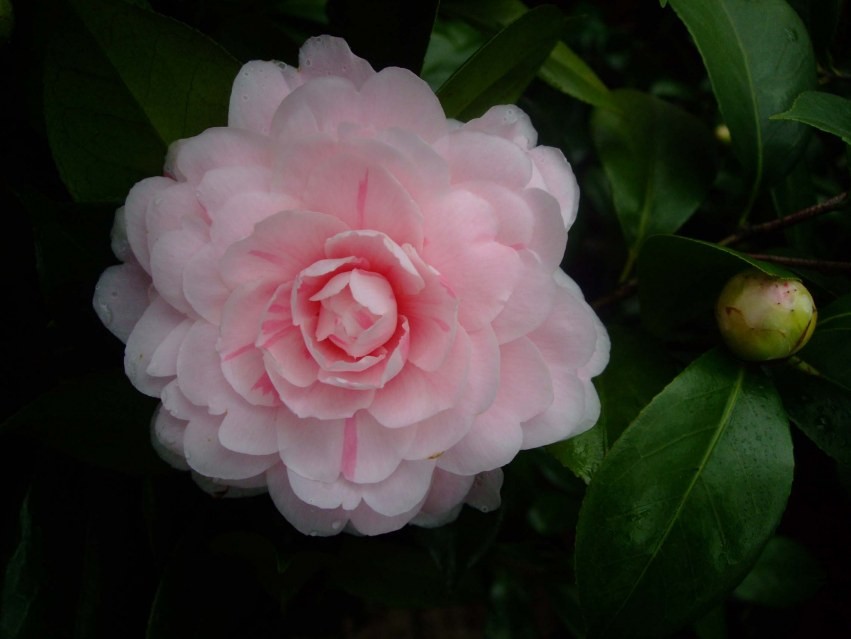 ���� 2014-2-3 090.jpg