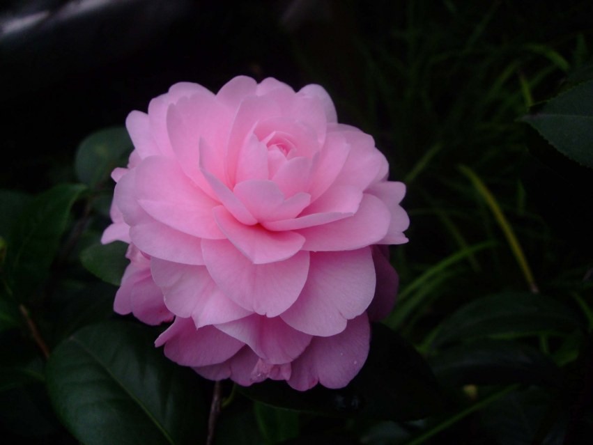 ����� 2014-2-3 140.jpg