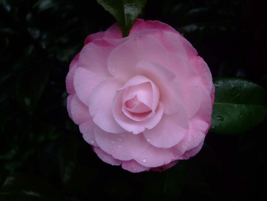��Ը 2014-2-3 093.jpg