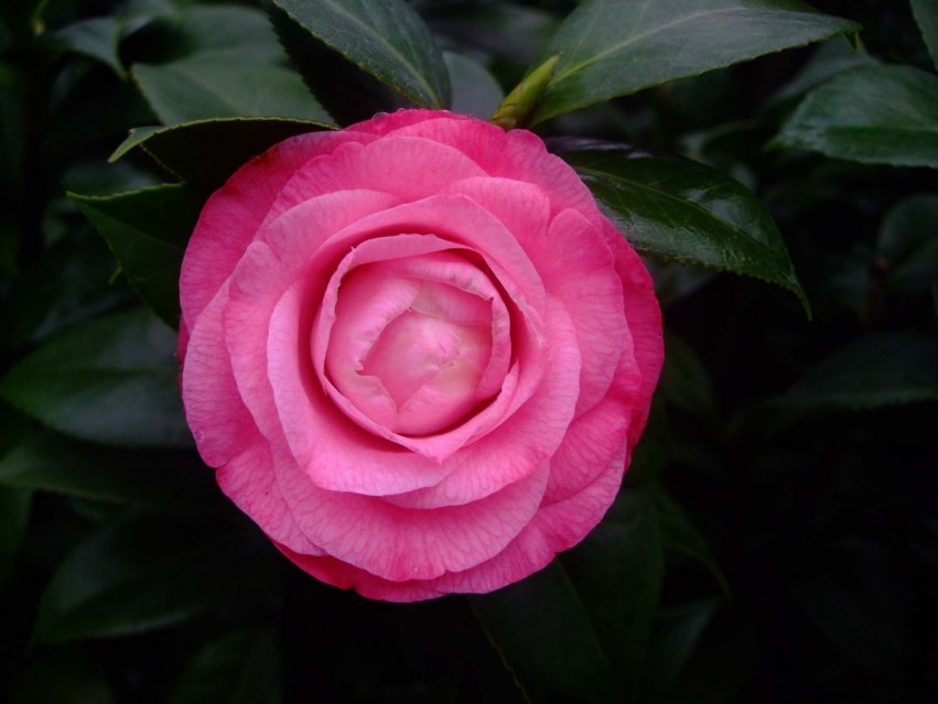 ��Ը 2014-2-3 142.jpg