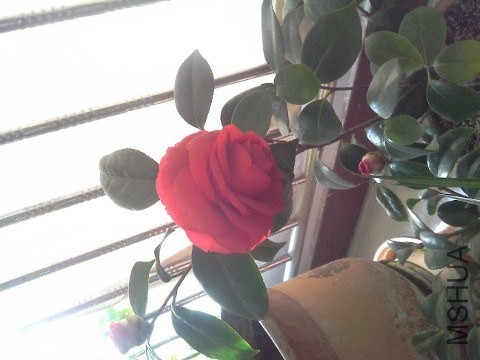 QQͼƬ20140203130159.jpg