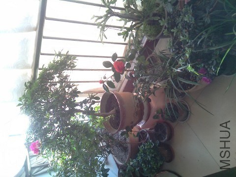 QQͼƬ20140203130211.jpg