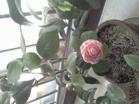 QQͼƬ20140203130348.jpg