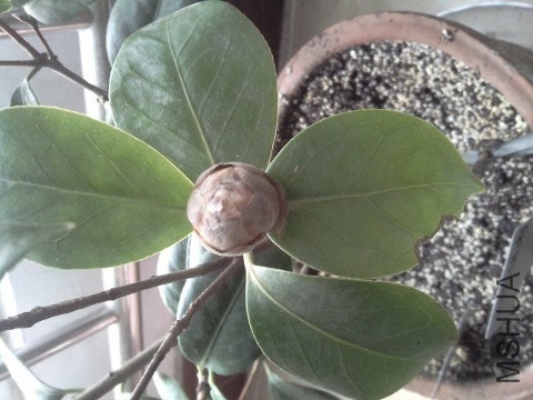 QQͼƬ20140203130355.jpg