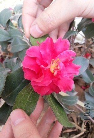 QQͼƬ20140203132604.jpg