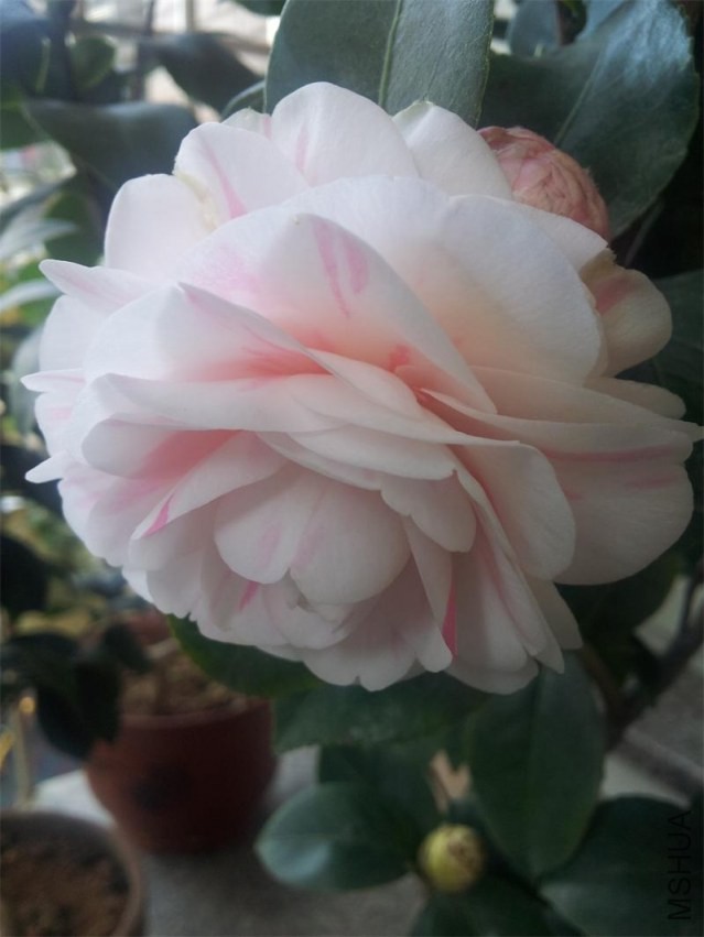 20140203_134845.jpg