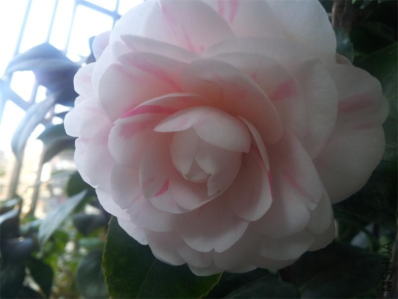 20140203_134939.jpg