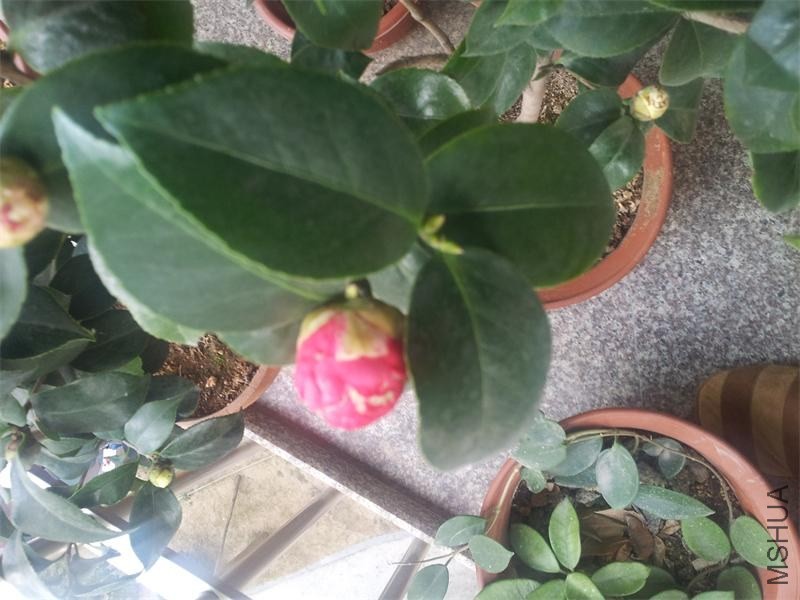 20140203_135046.jpg