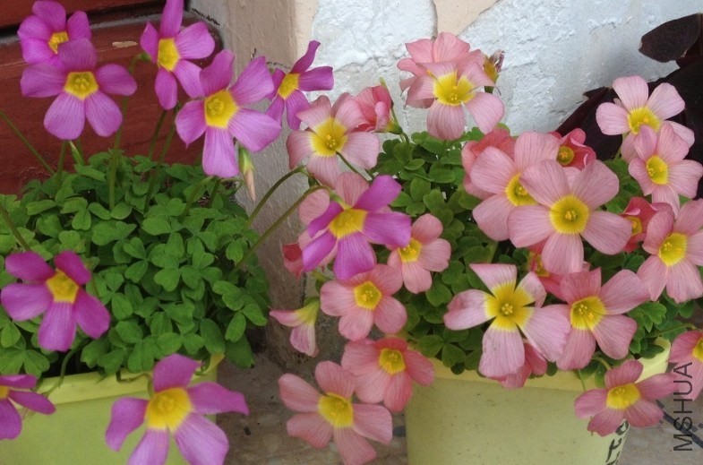 QQͼƬ20140203195203.jpg