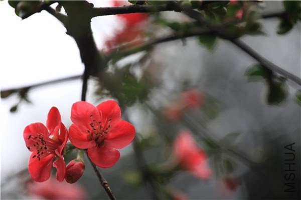 ��֮�������� (9).JPG