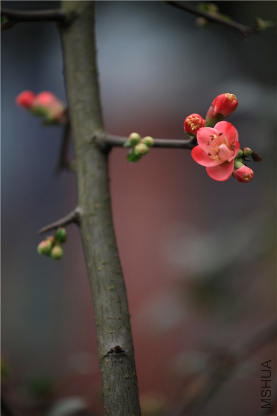 ��֮�������� (12).JPG