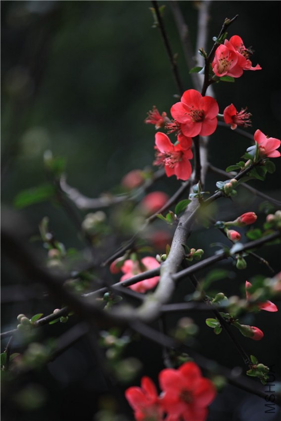 ��֮�������� (13).JPG