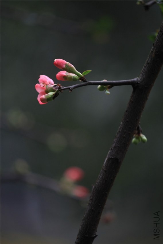 ��֮�������� (14).JPG