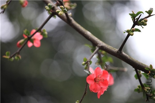 ��֮�������� (15).JPG