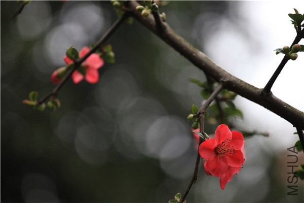 ��֮�������� (17).JPG