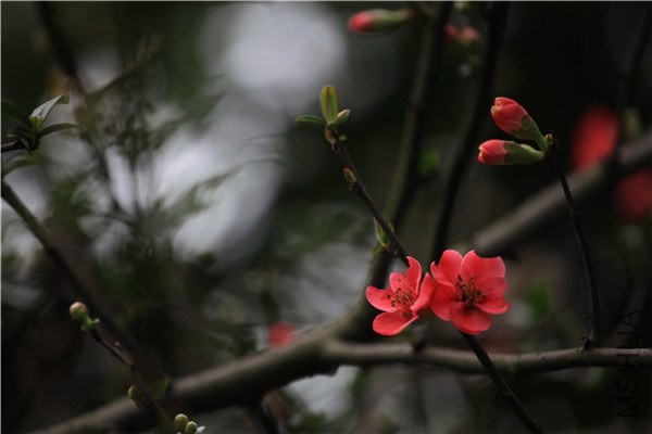 ��֮�������� (18).JPG