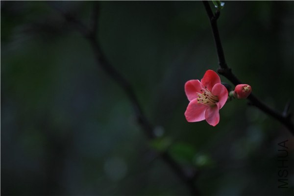 ��֮�������� (20).JPG