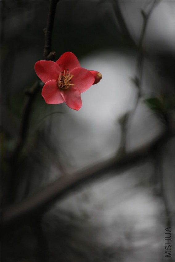 ��֮�������� (21).JPG