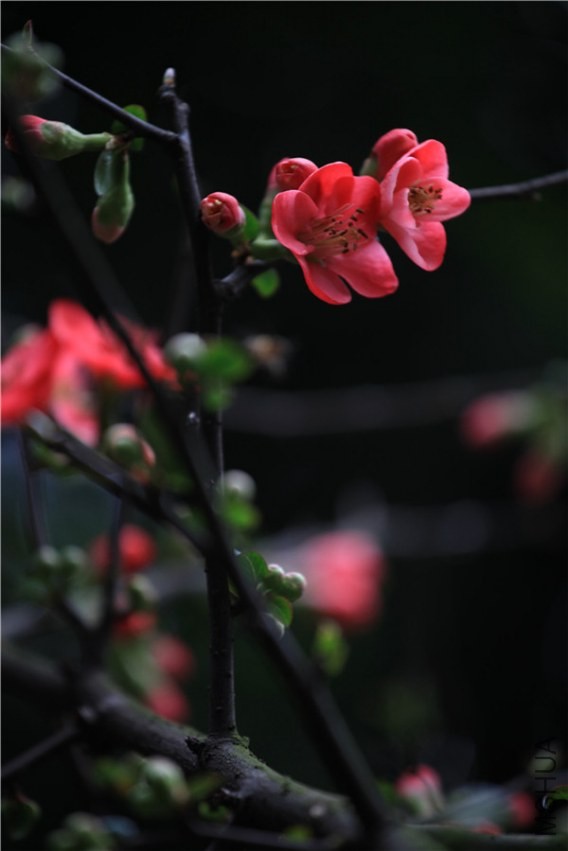 ��֮�������� (24).JPG