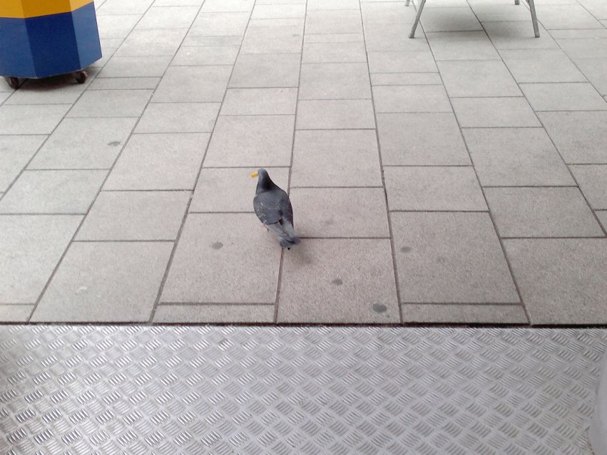 nEO_IMG_��Ƭ 020.jpg