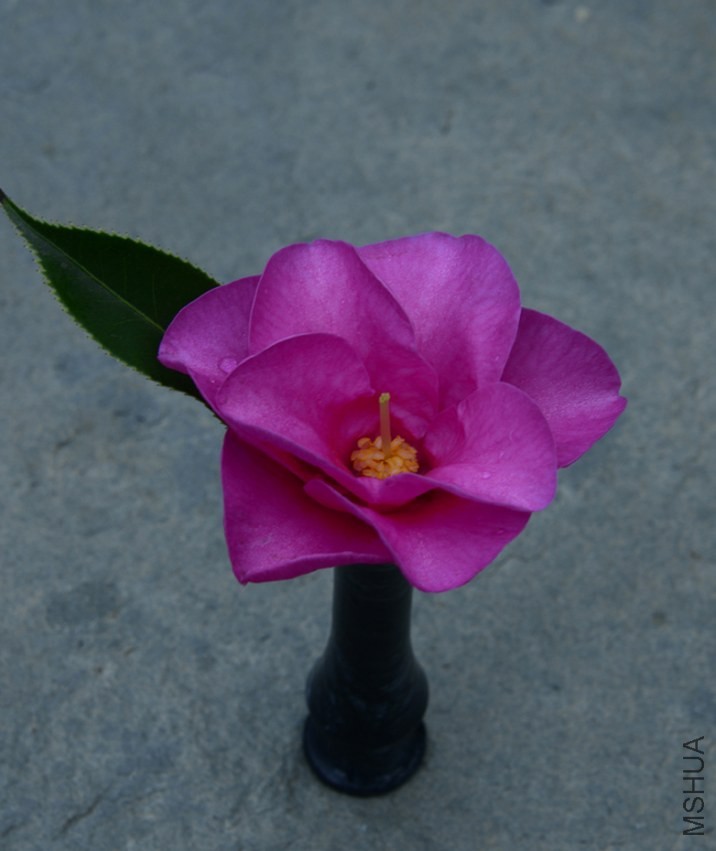 _DSC8026_edited-2.jpg