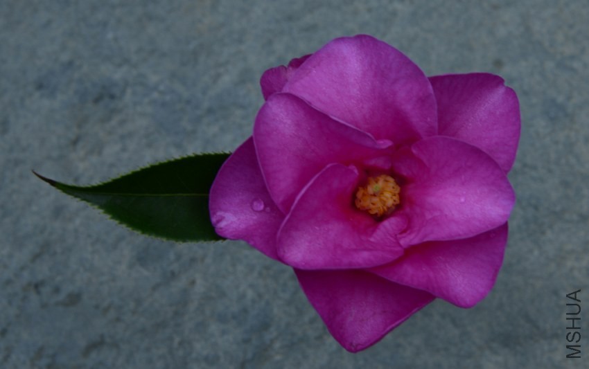 _DSC8024_edited-2.jpg