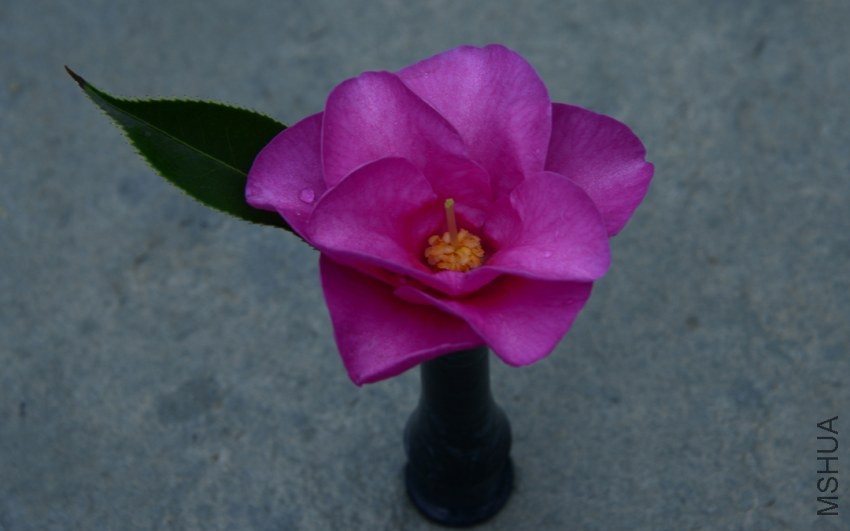 _DSC8025_edited-2.jpg