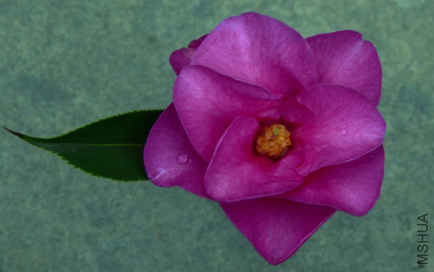 _DSC8023_edited-1.jpg