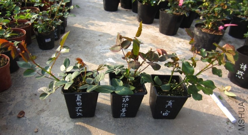 605FUEJX1]KR7C%E`[BVPW3.jpg