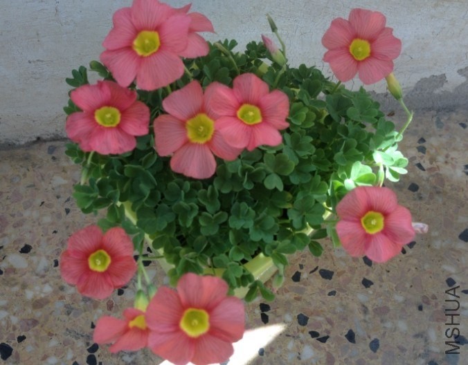 QQͼƬ20140204171154.jpg
