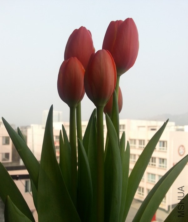 12������