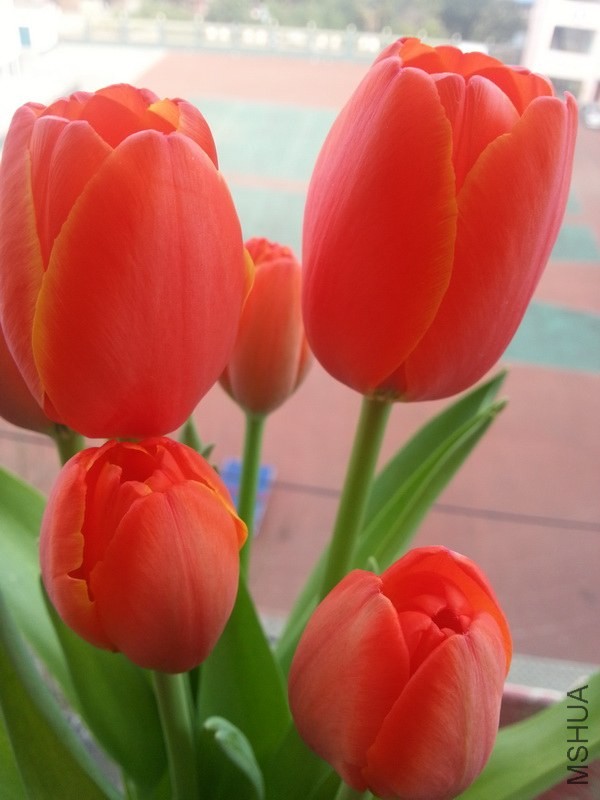 ���ڿ���