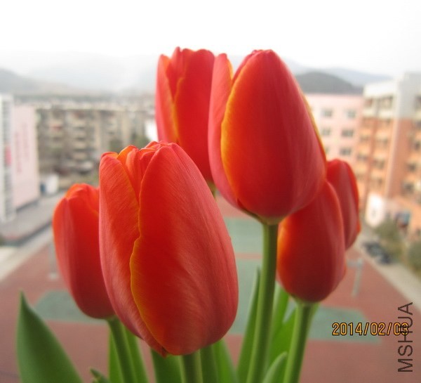 ����ů����ɫ