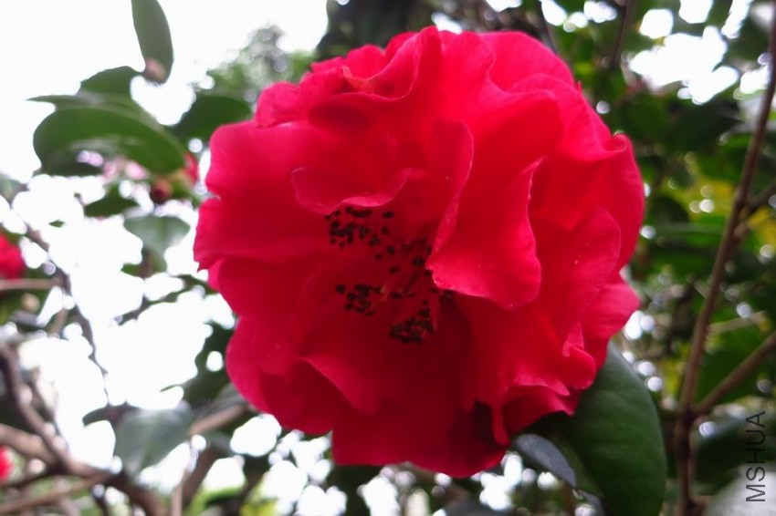 IMG_9779.jpg