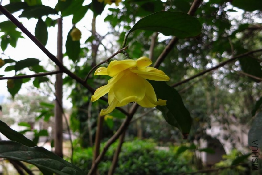 IMG_9839.jpg